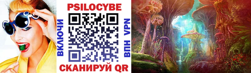 Псилоцибиновые грибы Psilocybe  гидра зеркало  Сычёвка  как найти закладки 