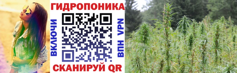 Конопля Amnesia  где можно купить наркотик  Сычёвка 